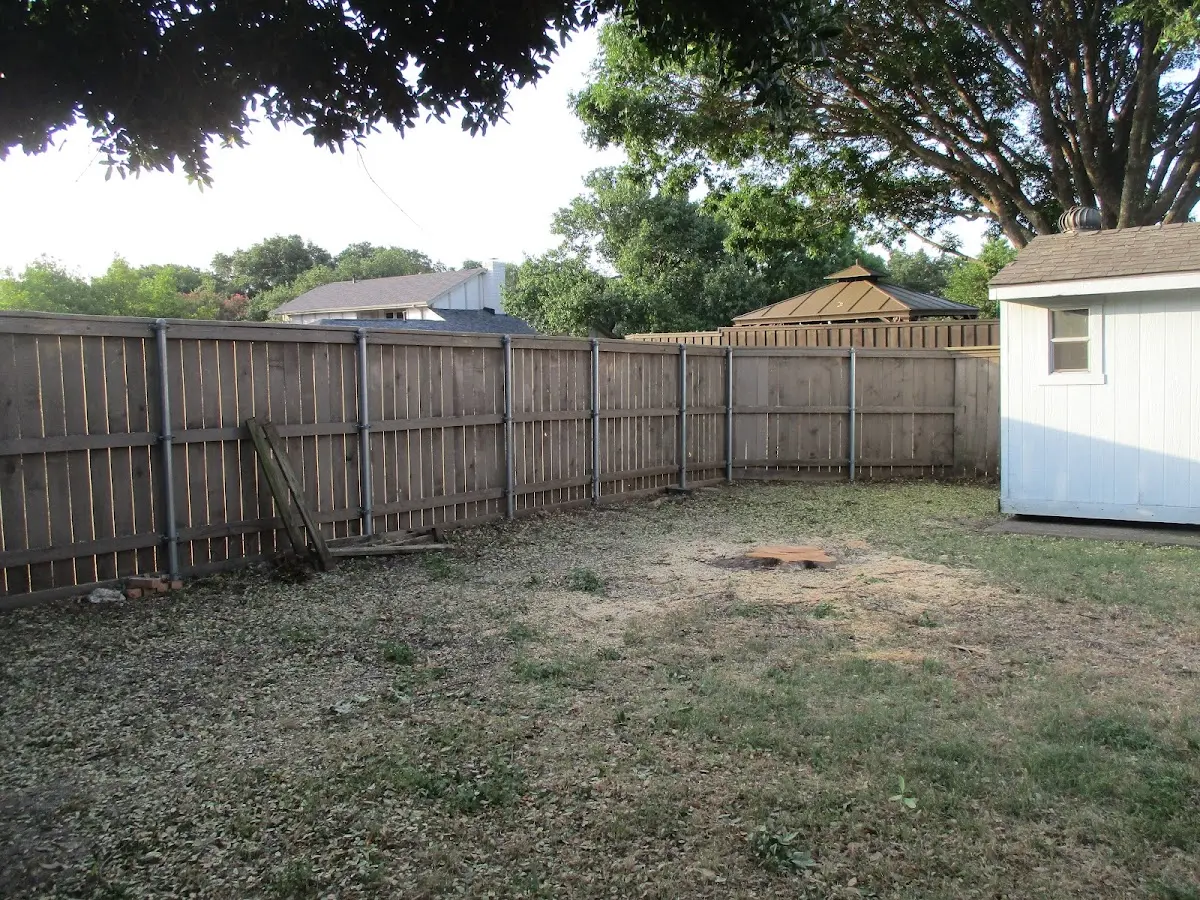 Cleared yard after professional tree removal in Allgood